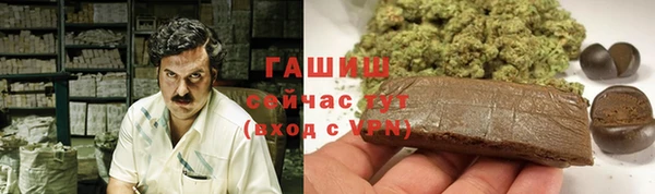 спайс Аша