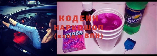 хмурый Дмитров