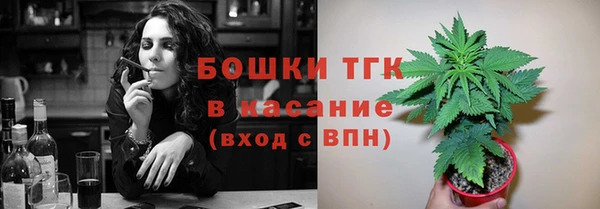 тгк Дмитровск