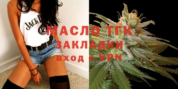 хмурый Дмитров