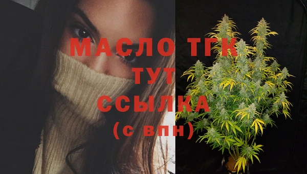 тгк Дмитровск