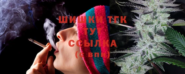 тгк Дмитровск
