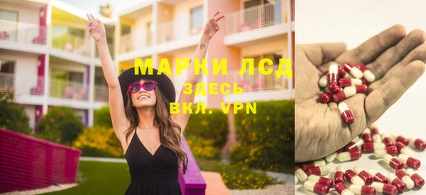 хмурый Дмитров