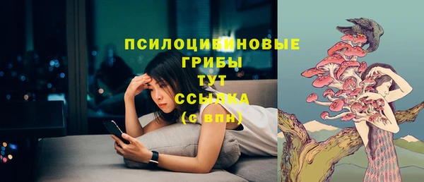 хмурый Дмитров