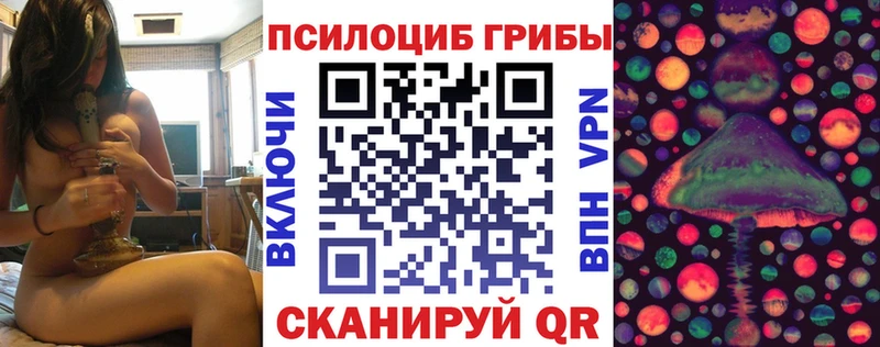 mega зеркало  Зарайск  Псилоцибиновые грибы Psilocybine cubensis 